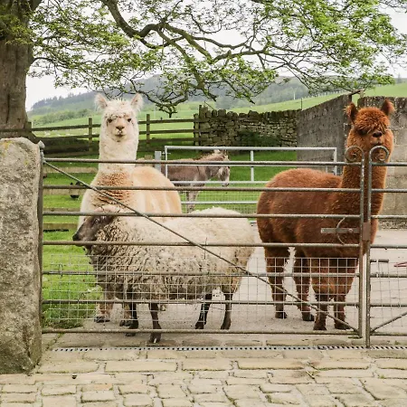 Bay Horse بيت للعطل *