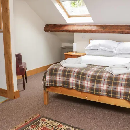 Bay Horse * سكيبتون